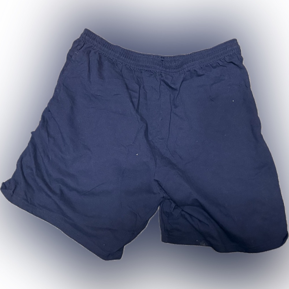 Hanes Blue Men's Boxers | Sz L